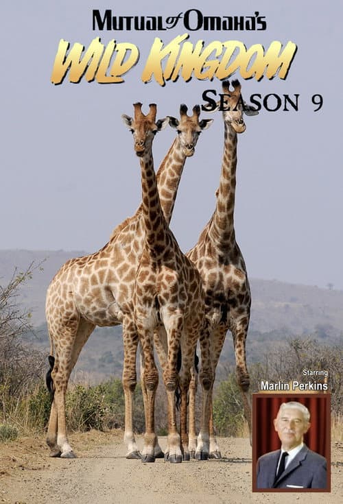Mutual of Omaha's Wild Kingdom Season 9 poster