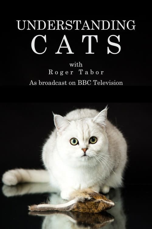 Understanding Cats Miniseries poster