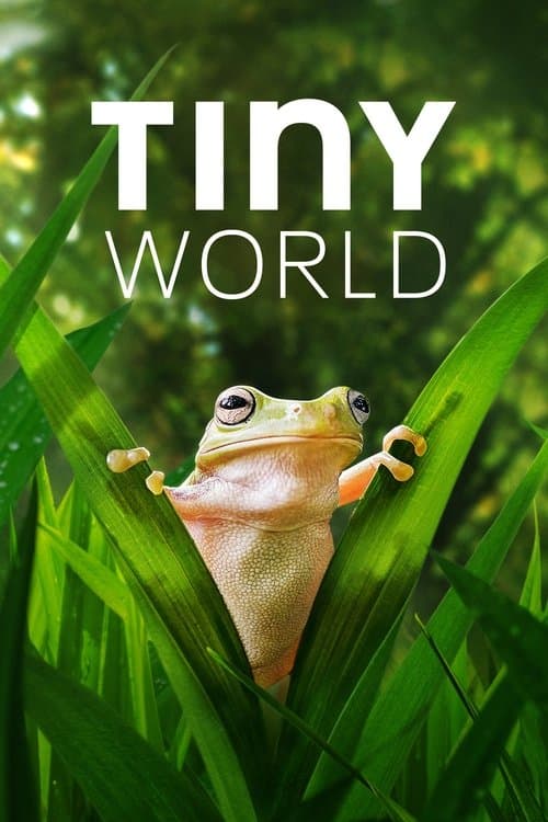 Tiny World Season 2 poster