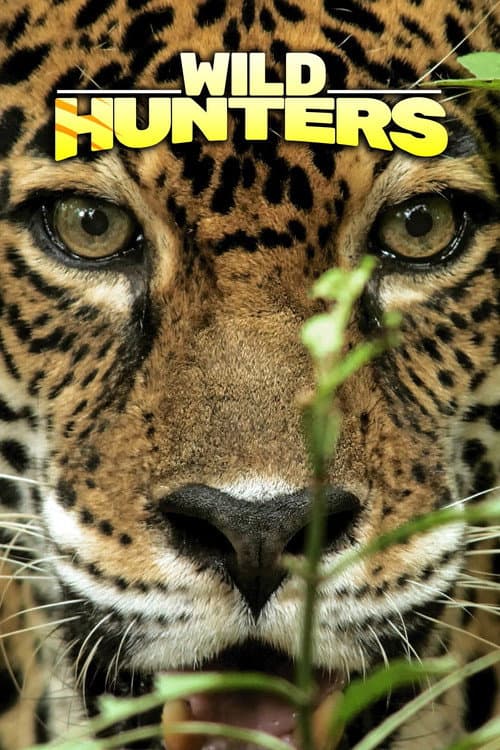Wild Hunters Season 1 poster