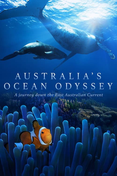 Australia's Ocean Odyssey: A journey down the East Australian Current Season 1 poster
