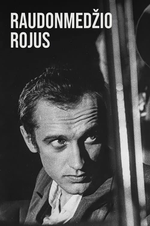Raudonmedžio Rojus Season 1 poster