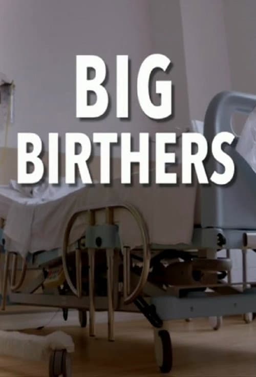 Big Birthers Season 1 poster