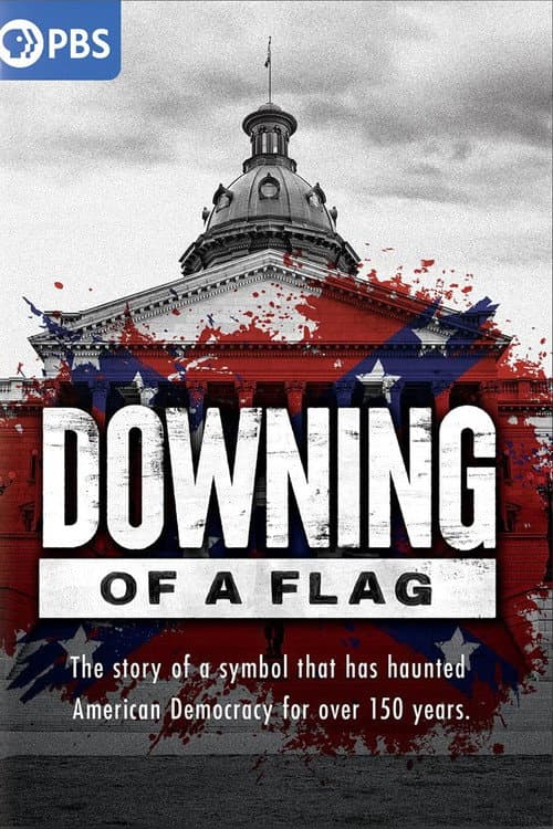 Downing of a Flag Season 1 poster
