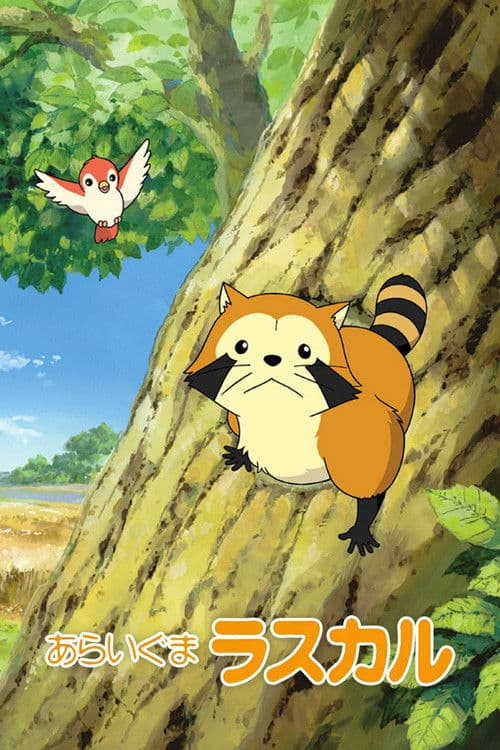 Rascal the Raccoon Season 1 poster