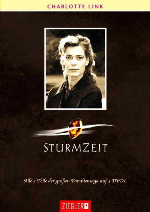 Sturmzeit Season 1 poster