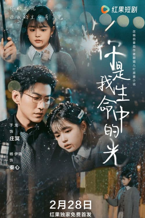 你是我生命中的光 Season 1 poster