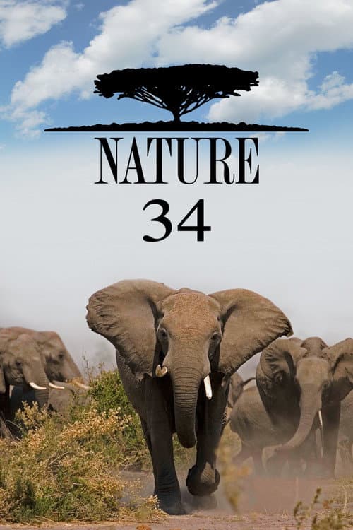 Nature Season 34 poster