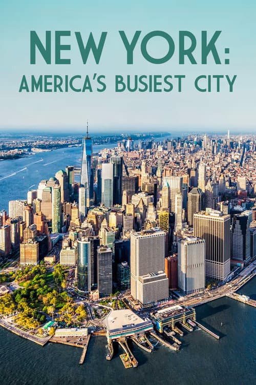 New York: America's Busiest City Season 1 poster