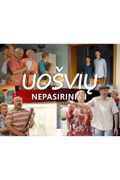 Uošvių nepasirinksi Season 1 poster