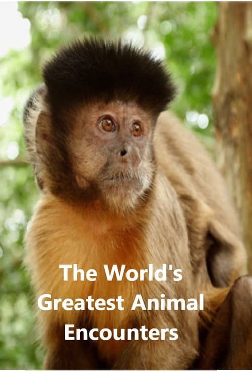 World's Greatest Animal Encounters Season 1 poster