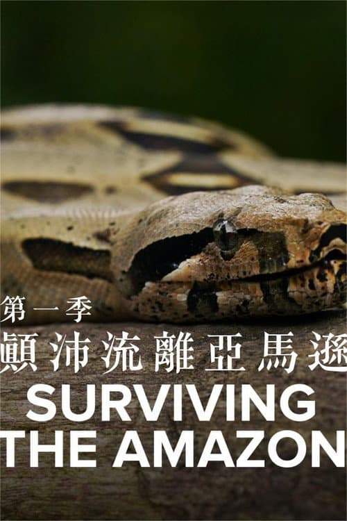 Surviving the Amazon Season 1 poster