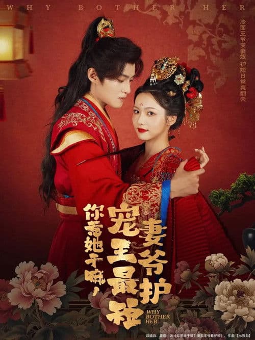 你惹她干嘛，宠妻王爷最护短 Season 1 poster