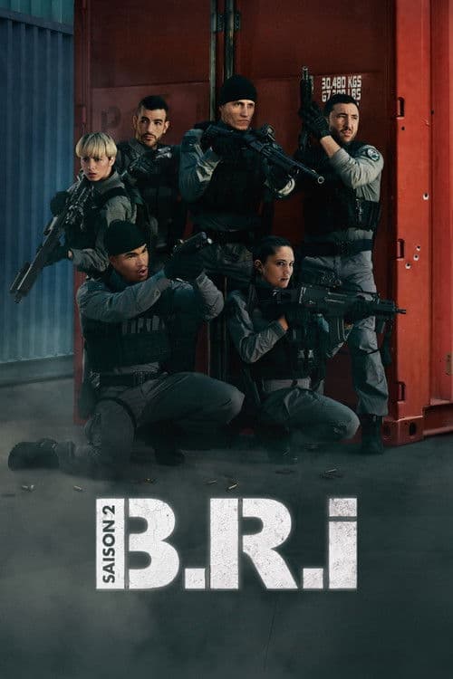 The Brigade Season 2 poster