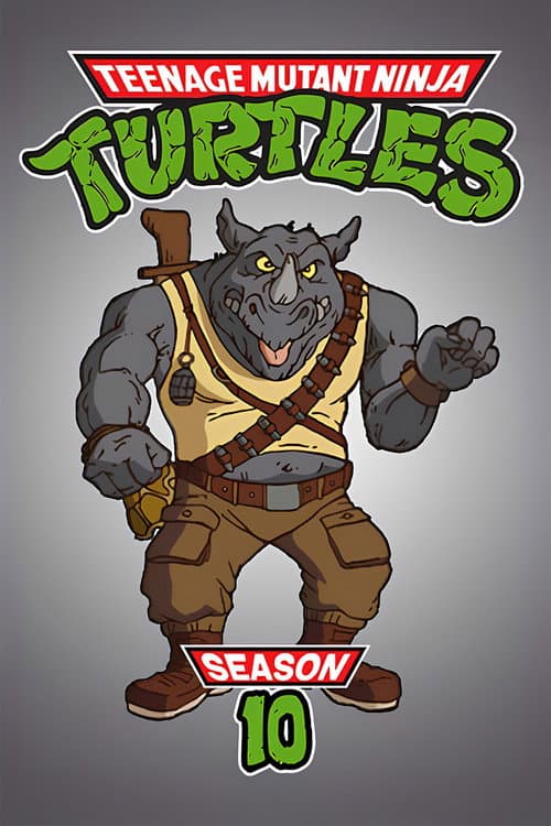 Teenage Mutant Ninja Turtles Season 10 poster