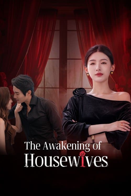The Awakening of Housewives Season 1 poster