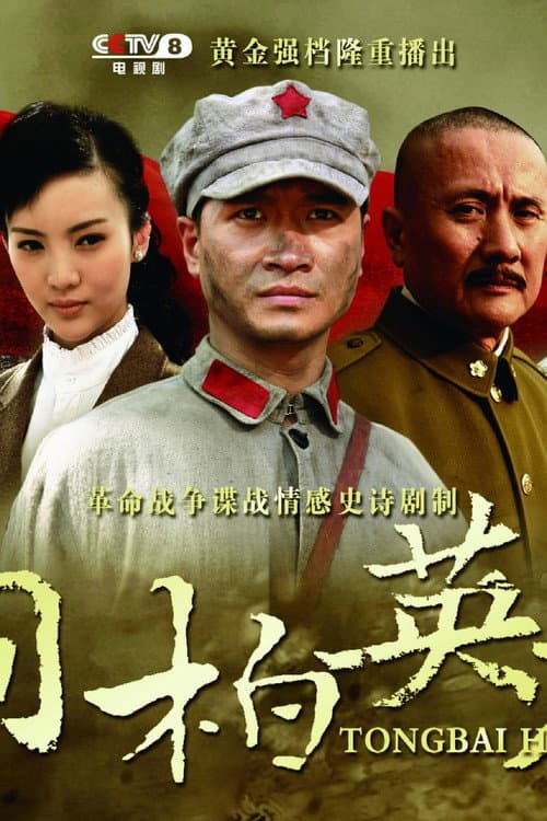 桐柏英雄 Season 1 poster
