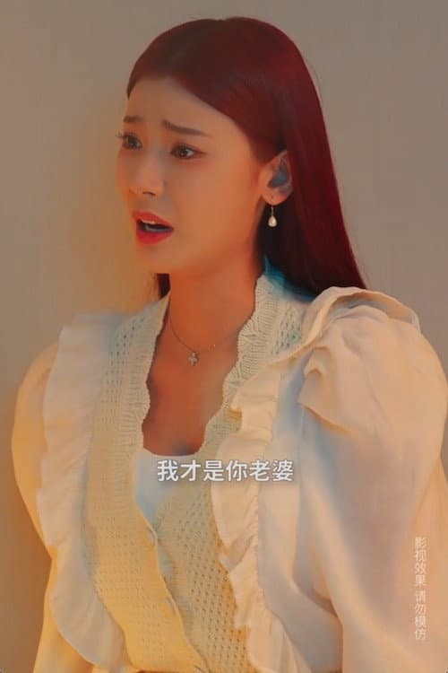 掌门老婆不简单 Season 1 poster