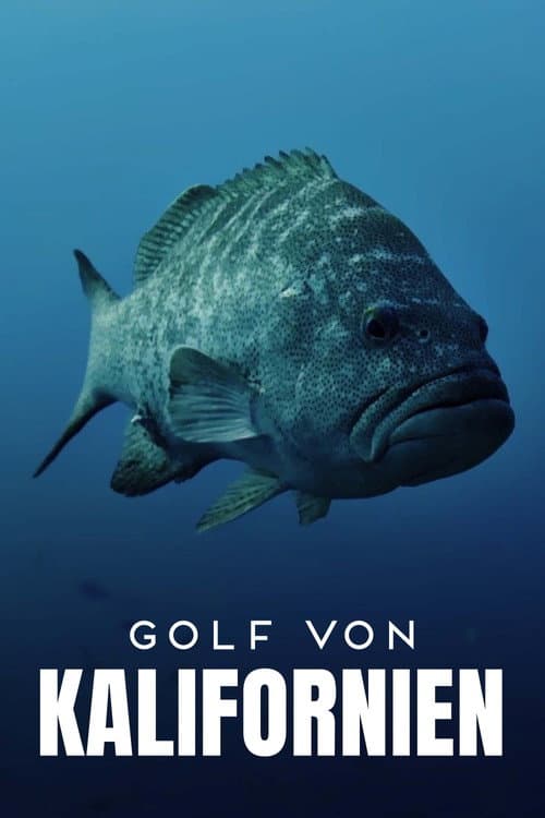 Golf von Kalifornien Season 1 poster
