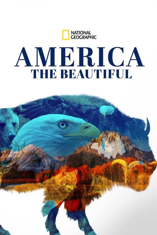 America the Beautiful Miniseries poster
