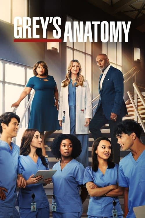 Grey's Anatomy Season 19 poster