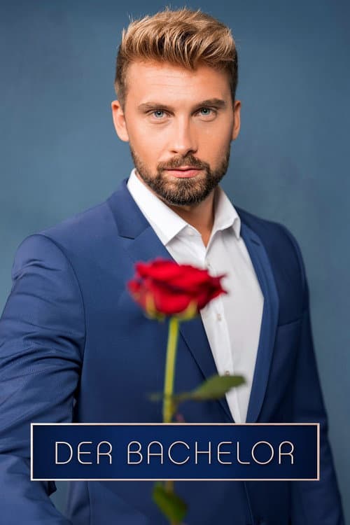 Der Bachelor Season 12 poster