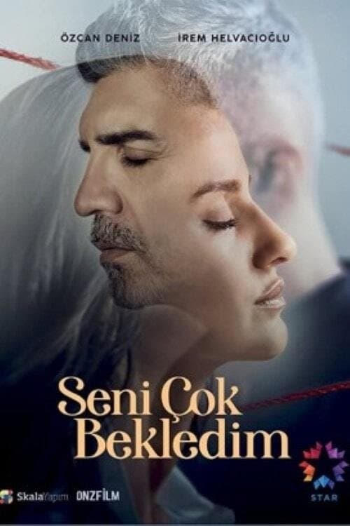 Seni Çok Bekledim Season 1 poster