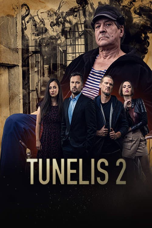 Tunnel Season 2 poster