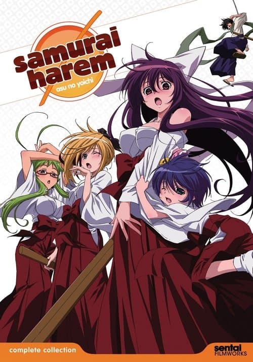 Samurai Harem Season 1 poster