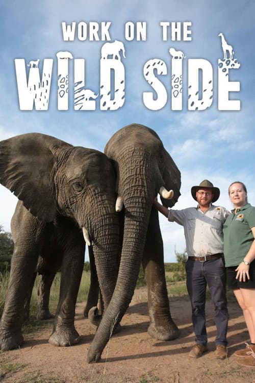 Work on the Wild Side Season 2 poster