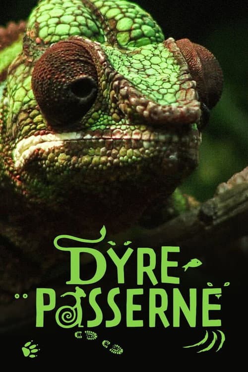 Dyrepasserne Season 13 poster
