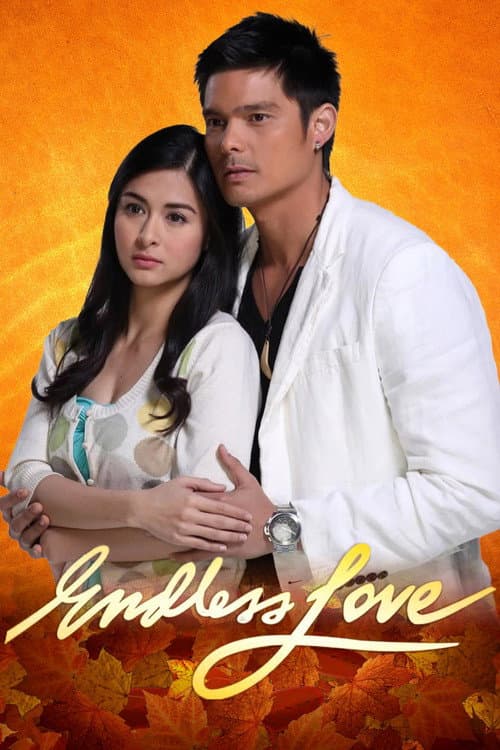 Endless Love Endless Love poster
