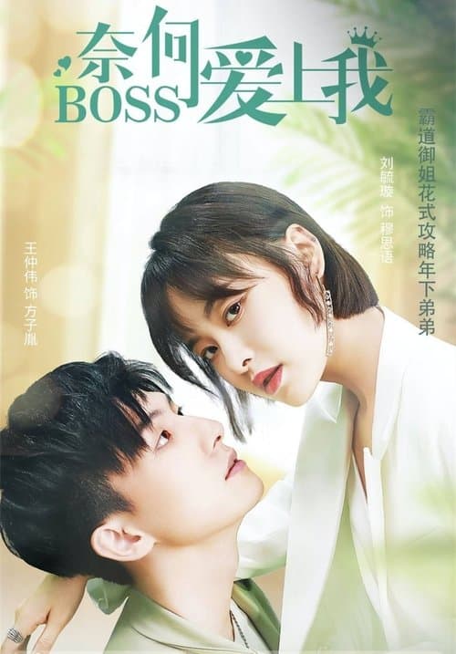 Well Staged Love Season 1 poster