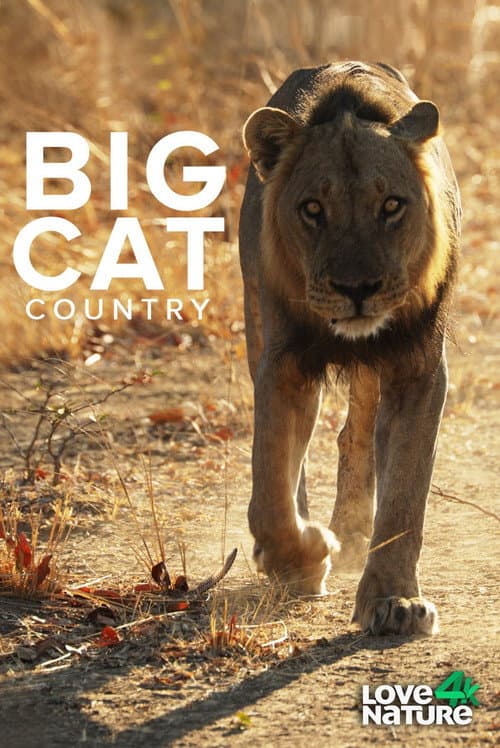 Big Cat Country Season 1 poster