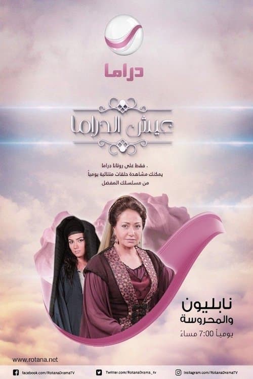 نابليون والمحروسة Season 1 poster