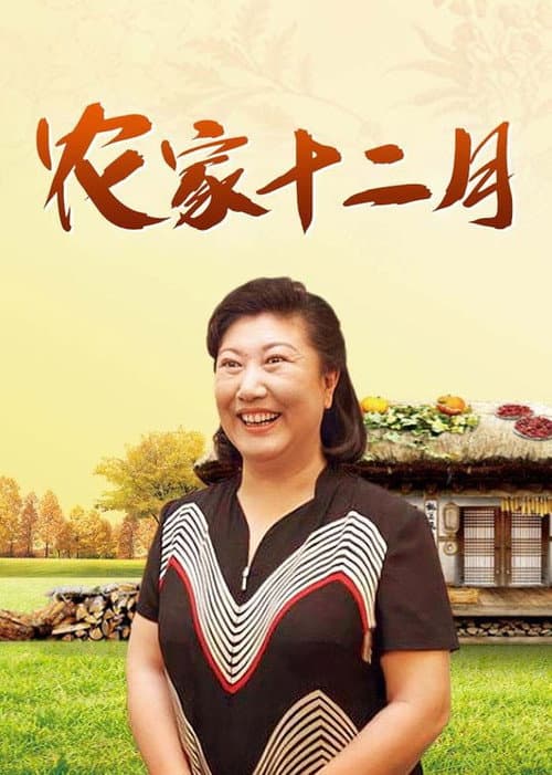 农家十二月 Season 1 poster