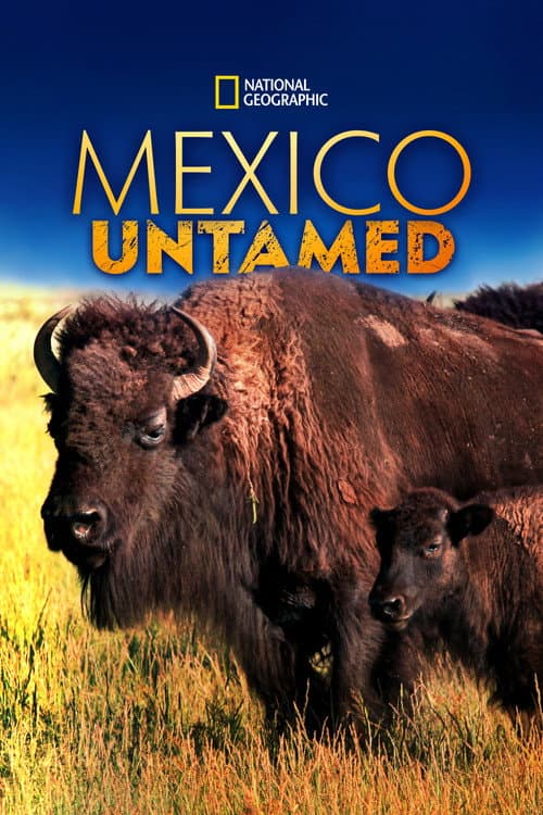 Mexico Untamed Season 1 poster