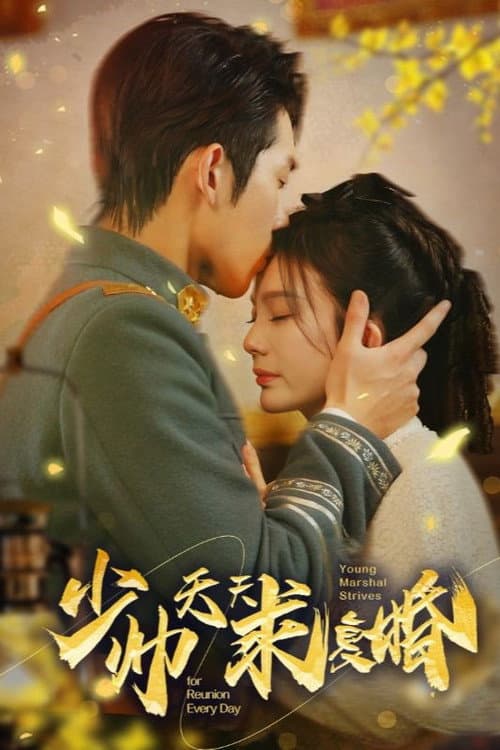 少帅天天求复婚 Season 1 poster