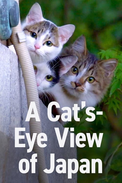 A Cat's-Eye View of Japan Season 3 poster
