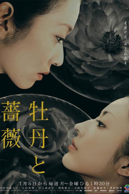 Love and Hatred Season 1 poster