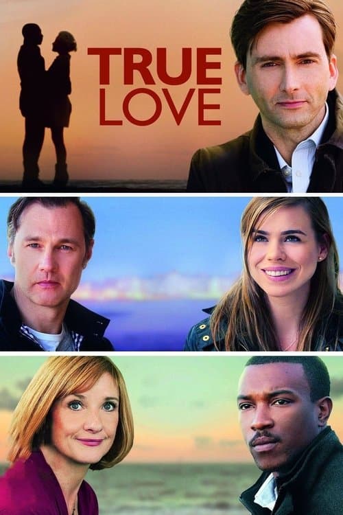 True Love Miniseries poster