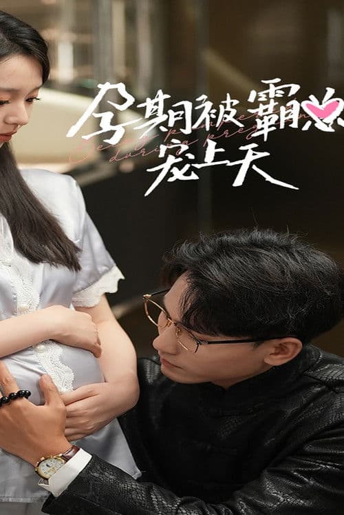 孕期被霸总宠上天 Season 1 poster
