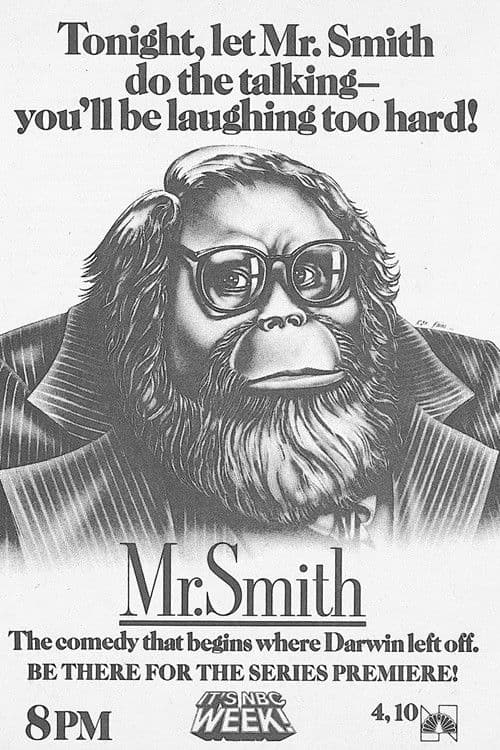 Mr. Smith Season 1 poster