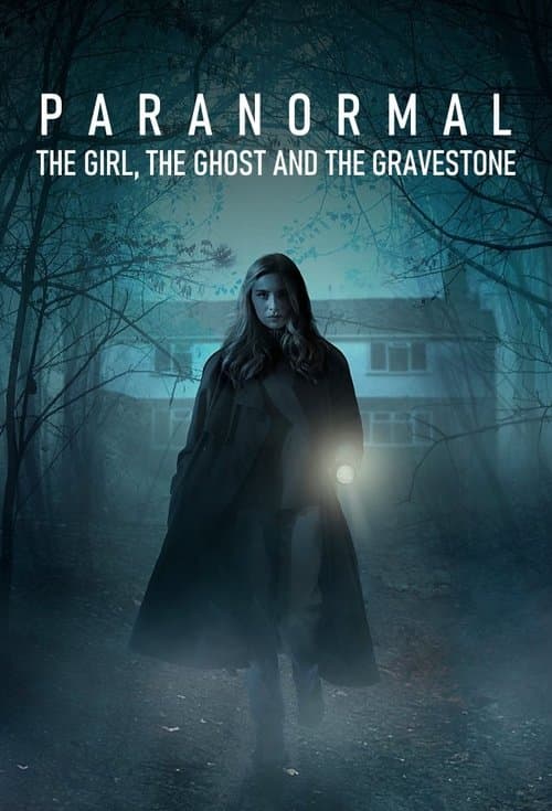 Paranormal The Village That Saw Aliens poster