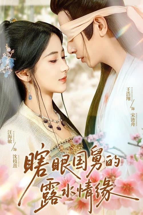 瞎眼国舅的露水情缘 Season 1 poster