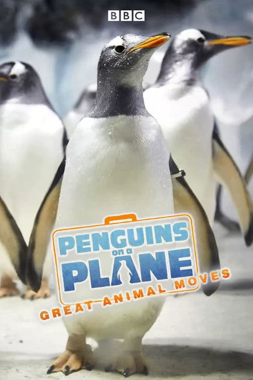 Penguins on a Plane: Great Animal Moves Season 1 poster