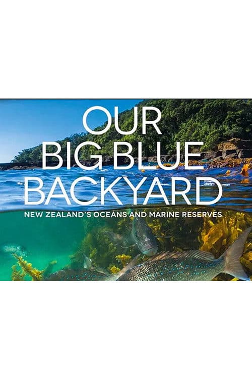 Our Big Blue Backyard Season 2 poster