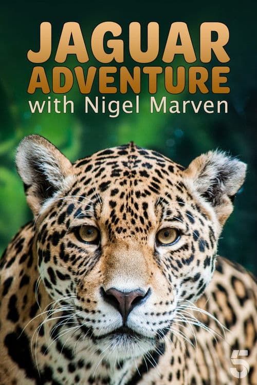 Jaguar Adventure With Nigel Marven Season 1 poster