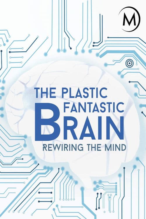 Plastic Fantastic Brain Season 1 poster