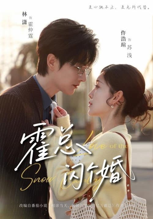 霍总，闪个婚 Season 1 poster